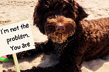 labradoodle in sand that reads “I’m not the problem. You are.”