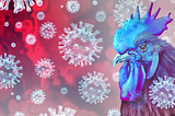 Avian Influenza Virus Presents ‘Apocalyptic’ Threat To Wildlife Around The World