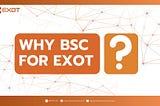 Why EXOT Chose Binance Smart Chain