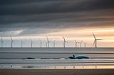 Massive increase in porpoise deaths raises deep concerns over offshore wind farms