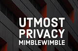 The Utmost Privacy MimbleWimble