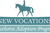 New Vocations Racehorse Adoption Program — Anna Ford
