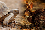 The Tortoise AND the Hare