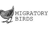 Migratory Birds Flying Solo