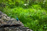 Small figurine of a man sitting on the rock formation in a green field