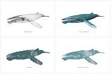 Efficient representations for 3D content understanding