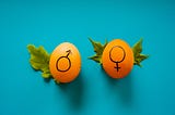 Why “Gender Critical” sounds like a good thing but isn’t