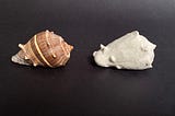 Shell and Soap Forms