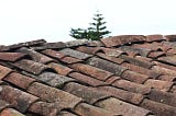 Roofing Maintenance Advice from Your Trusted Roofing Contractor