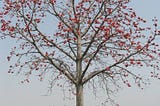 Pedon se Ham Kaise Sans Le Sakte Hain