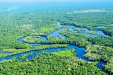 The Amazon rainforest is spread across 9 countries, with the largest portion in Brazil.