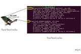What are Network interface in Linux?