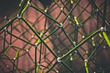 Green connected ropes forming a network with beads at each intersection.