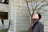 Photo of the poet and writer looking up into the cherry blossom trees. They are wearing a grey jacket and a black hat.