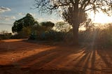 Beautiful Red Africa — Our Evening Walk In The Middle of Nothing
