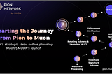 Charting the Journey from Pion to Muon