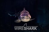 Wireshark — Capturing User Password!