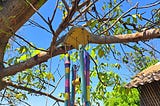 Wind Chimes — Magical Coloring
