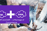 PIM and DAM — a Marriage of Convenience