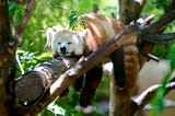 Snooze emails: Tips & Tricks