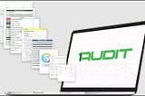 External auditor