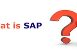 What is SAP (System Analysis Program Development) ?