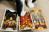 昨天下午上牌卡課跟夥伴對練，我們輪流留抽三張牌，讓對方解題。