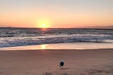 Sunsets Change With the Seasons