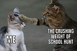 I Never Knew That Finding a School Is This Hectic…