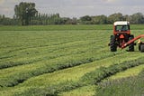 The Importance of Alfalfa in Farming Operations