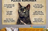 SALE OFF When visiting my house please remember cat horizontal poster