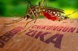 Cuba Ready for Any Evidence of Zika Virus