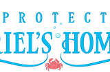 A banner featuring “Protect Ariel’s Home” in blue font as well as illustrations of crabs, coral reefs, fish, starfish, and water bubbles.