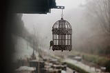 The Adaptation Trap