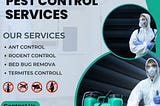 Best Pest Control Services In Zirakpur | Goldy Contractor