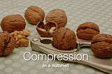 Walnuts in a nutcracker with the caption “Compression In a nutshell”