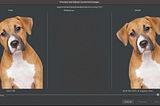 Imagem de um cachorro, a esquerda a imagem original em PNG com tamanho de 123.7 KB, no centro a sombra da diferença entre PNG e WebP e a direita a prévia da imagem em formato WebP com tamanho de 40.6 KB.