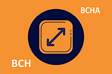 How to properly split BCHA coins — BCH Hardfork 15 Nov 2020