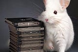 A floppy bureaucracy