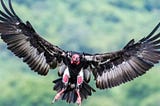 Death Notice for Two Crow