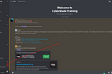 How to interact with the cyberdude-team on Discord