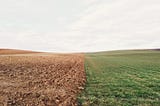 Research grants and output quality assessment: Complementary or redundant?