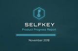 SelfKey Product Progress Report November 2018