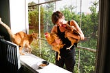 Speciesism: The Disease of Animal Advocacy