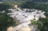 Minería ilegal de oro dentro del Proyecto REDD en Concesiones de castaña en Madre de Dios, Perú