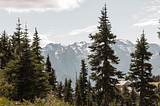 Agroforestry on Clearcuts in the Pacific Northwest