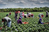 Why The College Educated Disdain Manual Labor