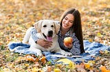 Human Foods Dogs Can Eat