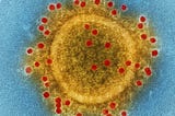 5 (Possible) Benefits of the Coronavirus Pandemic