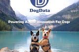 DOGDATA-WELFARE PLATFORM FOR DOGS POWERED BY BLOCKCHAIN